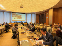 Phái đoàn Việt Nam phát biểu tại phiên rà soát chính sách thương mại của Thái Lan tại WTO