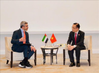 Bộ trưởng Ngoại giao Lê Hoài Trung gặp Bộ trưởng Ngoại giao UAE, Ai Cập và Thổ Nhĩ Kỳ