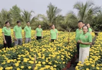 Hướng tới Đại hội Hội Nông dân Việt Nam lần thứ IX: Khơi sức sáng tạo của Hội Nông dân cơ sở