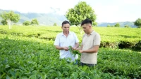 Hướng tới Đại hội IX Hội Nông dân Việt Nam: Quỹ Hỗ trợ nông dân các cấp đạt gần 6.000 tỷ đồng (Bài 7)