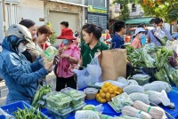 Mô hình độc đáo: Dân thành thị có thể mua trực tiếp nông sản sạch do nông dân TPHCM sản xuất