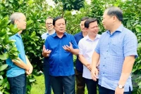 Đưa sách về ruộng đồng để nông dân tự kể chuyện nông sản Việt