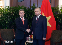 Tổng Bí thư, Chủ tịch nước Tô Lâm tiếp các doanh nghiệp lớn của Singapore