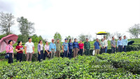 Sôi nổi đợt thi đua đặc biệt của nông dân Hà Tĩnh chào mừng Đại hội Hội Nông dân Việt Nam lần thứ IX