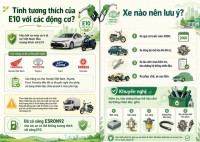 Những loại xe nào cần đặc biệt lưu ý khi dùng xăng E10 theo khuyến cáo của Bộ Công thương để tốt cho động cơ?