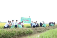 Một Chi hội Nông dân ở Hưng Yên ra mắt “biệt đội” bảo vệ đồng ruộng