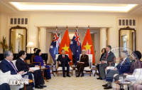 Tổng Bí thư, Chủ tịch nước Tô Lâm hội kiến Toàn quyền Australia