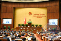 Góc nhìn nghị trường: Không hình sự hóa rủi ro, không hợp thức hóa sai phạm