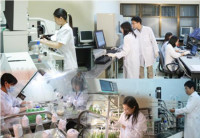 Chỉ đạo, điều hành của Chính phủ, Thủ tướng Chính phủ nổi bật tuần 8-14/8/2026