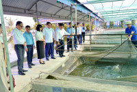Để mỗi chính sách mang hơi thở cuộc sống