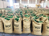 Đưa hợp tác kinh tế, thương mại Việt - Nga vào chiều sâu