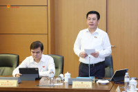Phó Chủ tịch Quốc hội Nguyễn Hồng Diên: Không thể mặc nhiên coi tham dự đấu giá là đồng ý trả giá khởi điểm