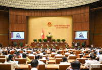 Hôm nay, Quốc hội xem xét dự án Luật Đất đai (sửa đổi)