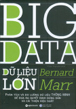 BIG DATA - Dữ liệu lớn