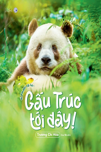 GẤU TRÚC TỚI ĐÂY